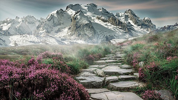 photo_11